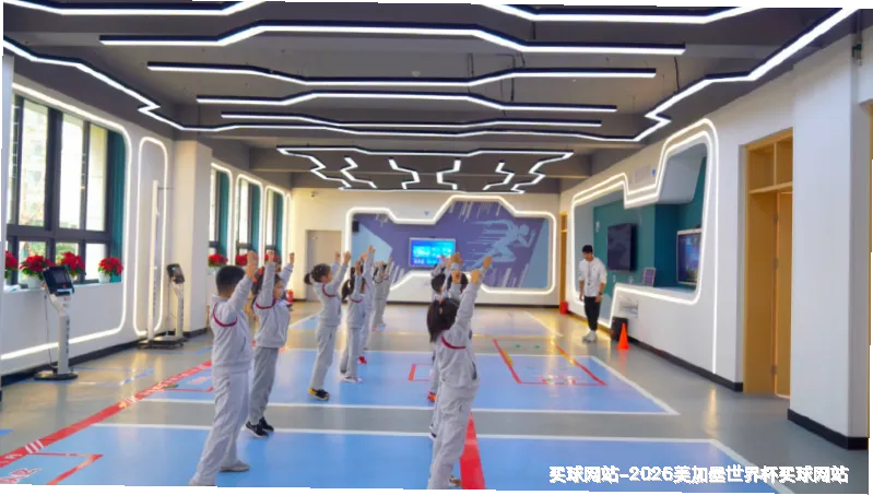 未来愿景与发展方向